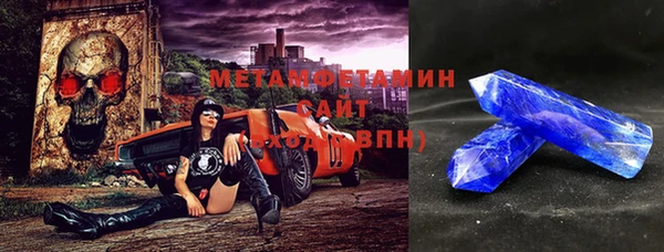 прущие грибы Медвежьегорск