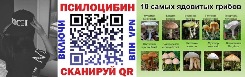Псилоцибиновые грибы Cubensis Юхнов